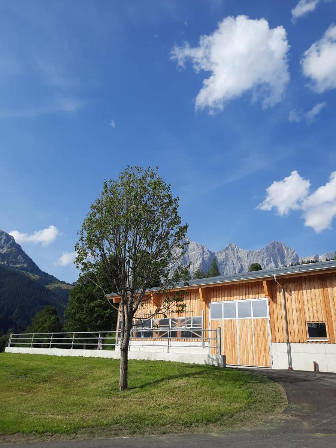 Appartement Muehlebnerhof Ramsau am Dachstein Bagian luar foto