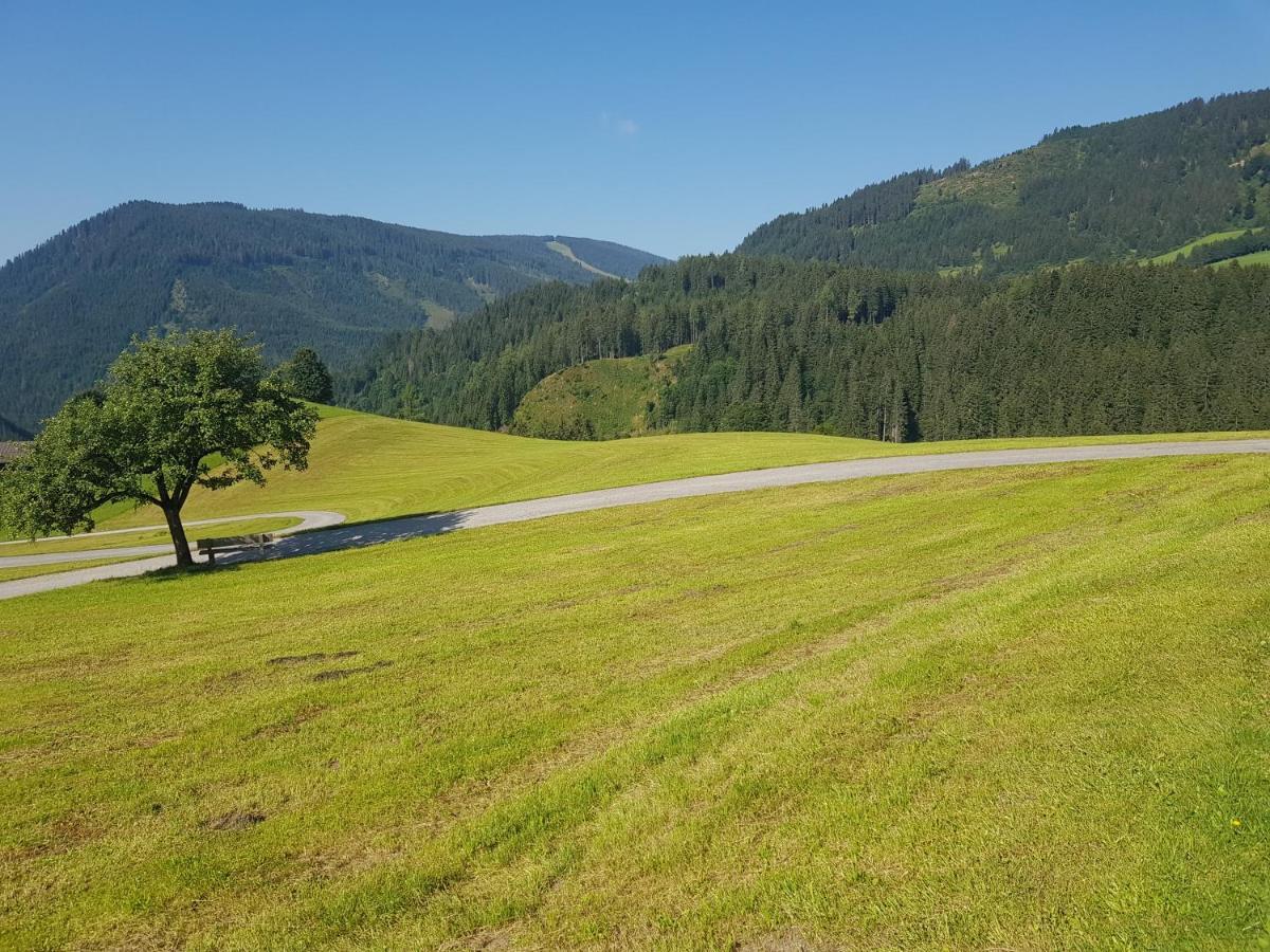 Appartement Muehlebnerhof Ramsau am Dachstein Bagian luar foto