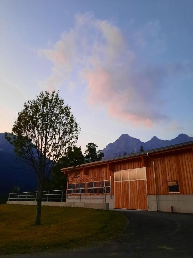 Appartement Muehlebnerhof Ramsau am Dachstein Bagian luar foto